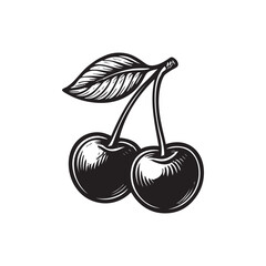 cherry fruit vector