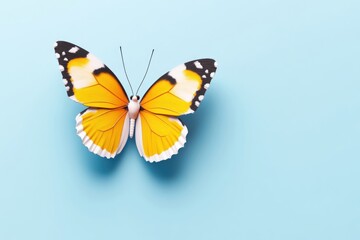 Obraz premium Orange butterfly on light blue