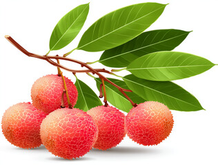Obraz premium fresh lychee fruit Isolated white background