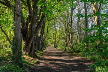 Penrhos Nature reserve on the isle of Anglesey 