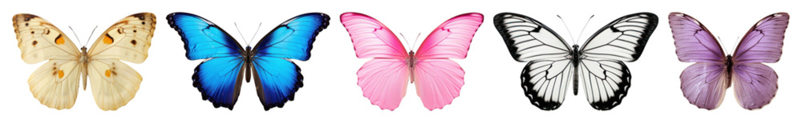 PNG Colorful butterflies in flight, element set on transparent background