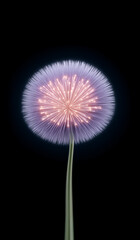 A dandelion flower with pink and purple seeds glowing on a black background