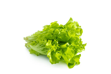 Lettuce leaves isolated on white background. Healthy eating concept.
