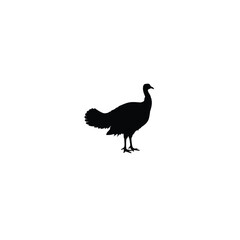Turkey farm animal silhouette on white background