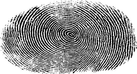 Black and white fingerprint with detailed concentric patterns, identity concept. Vector illustration