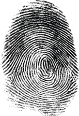 Detailed black fingerprint, symbolizing identity and security. Vector illustration
