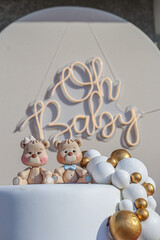 Gender Reveal Party Decoration with Two Bears on Top of a Non-Real Cake and a Sign Behind It That Says Oh Baby

