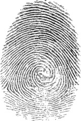 Black and white fingerprint illustration, ink style design concept for security. Vector illustration