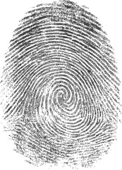 Black and white fingerprint with detailed spiral pattern. Vector illustration
