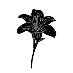 Hand drawn black silhouette of lily flower with stem and leaf linocut. Botanical vector illustration isolated on white.