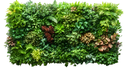 Sections of green vertical garden walls with various plants, isolated on white background