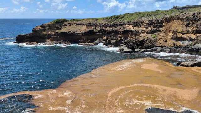 The coast of the Caravelle Peninsula (Presque&rsquo;&icirc;le de la Caravelle) with a lot of sargassum seaweed (La Trinit&eacute;, Martinique, France)