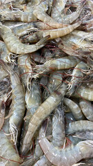 Fresh schrimp at a local market in Thailand.