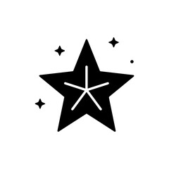 Clean Solid Black Filled Star Icon with Even Arms