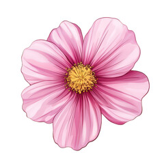 beautifully illustrated pink flower with delicate petals and a vibrant yellow center. showcasing intricate details that highlight its natural beauty this graphic can be used for various purposes. incl