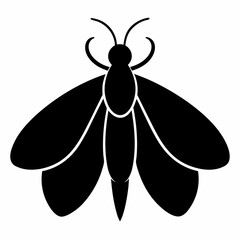 Stylized Moth Silhouette in Vector Format