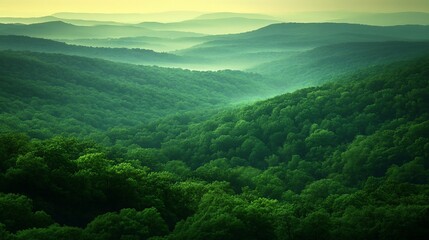 Fototapeta premium Lush green mountain range veiled in morning mist. Dense forest covers rolling hills