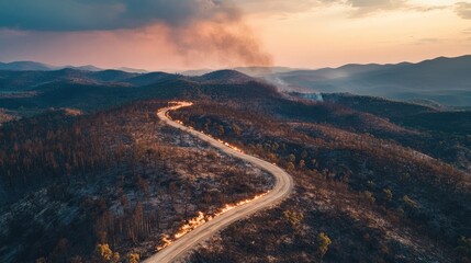 Wildfire burn scar visible from above, showing scorched land where forest once stood