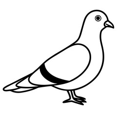Stylized Pigeon Line Art Vector