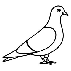 Stylized Pigeon Line Art Vector