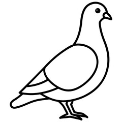 Stylized Pigeon Line Art Vector