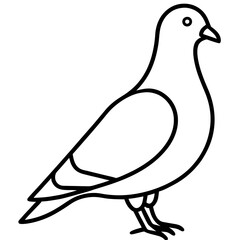 Stylized Pigeon Line Art Vector