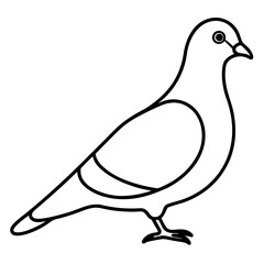 Stylized Pigeon Line Art Vector