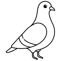 Stylized Pigeon Line Art Vector