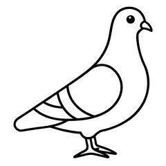 Stylized Pigeon Line Art Vector
