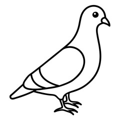 Stylized Pigeon Line Art Vector