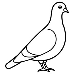Stylized Pigeon Line Art Vector