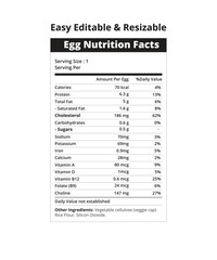 Egg Nutrition Facts Infographic – Healthy Protein Source Breakdown