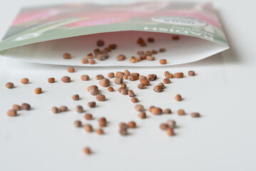 Sparkler Red Radish Seed Spilled from a Packet