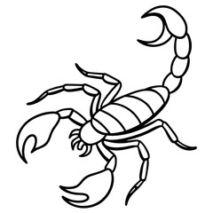 Stylized Scorpion Line Illustration