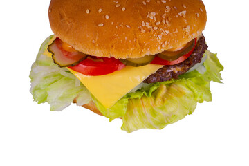 hamburger on white background