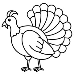 Stylized Turkey Line Art Graphic