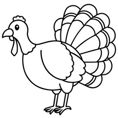 Stylized Turkey Line Art Graphic