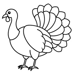 Stylized Turkey Line Art Graphic