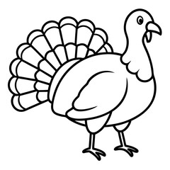 Stylized Turkey Line Art Graphic