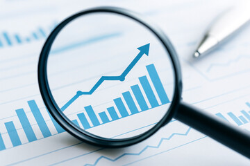 ルーペ越しに見る財務データの分析グラフ