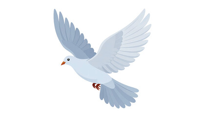 Fototapeta premium White dove isolated on white background.