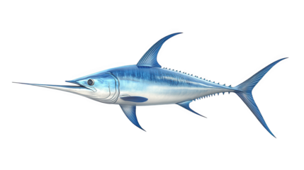 a realistic illustration of a swordfish. showcasing its streamlined body. elongated bill. and prominent dorsal fins the vibrant blue and silver coloration highlights its aquatic nature. making it suit