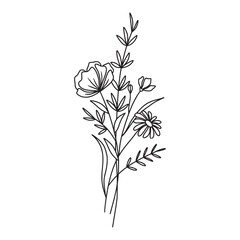 Flower bouquet vector. Hand drawn flower. Wildflower line art bouquets, wild plant, botanical vector illustration