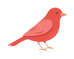 bird on a white background