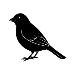 Finch Silhouette vector illustration