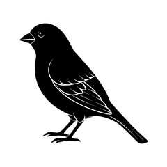 Obraz premium Finch Silhouette vector illustration