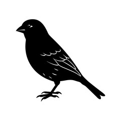 Obraz premium Finch Silhouette vector illustration