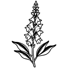 Minimal Snapdragon Vector on White