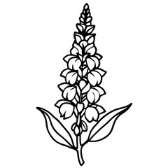 Minimal Snapdragon Vector on White