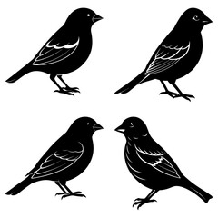 Finch Silhouette vector illustration